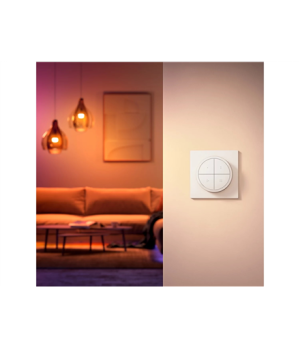 Philips Hue | Tap dial switch white | White