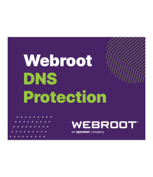 Webroot | DNS Protection with GSM Console | 1 year(s) | License quantity 1-9 user(s)