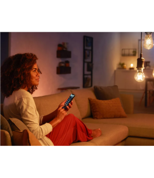 Philips Hue W 7.2W Filament ST64 E27 | Philips Hue | Hue W 7.2W Filament ST64 E27 | E27 | 7 W | Soft white 2100K | Bluetooth and