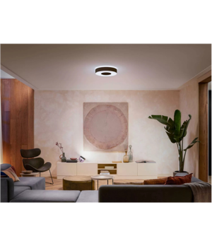 Philips Hue Infuse M ceiling lamp black | 33.5 W | White and color ambiance 2000-6500 | Bluetooth