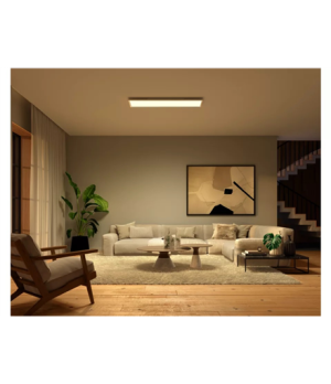 Philips Hue Surimu Rectangle Panel | 100 W | White and colour 2000-6500 Hue White Colour Ambiance | Bluetooth