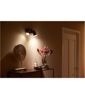 Philips Hue WCA Fugato Spotlight | GU10 | 2x5.7 W | 2000-6500 Hue White Colour Ambiance