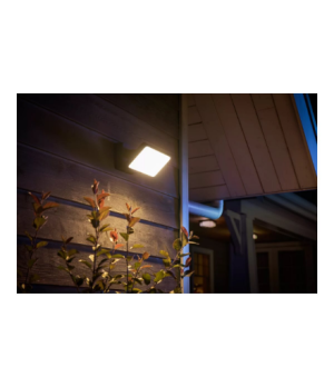 Philips Hue WCA Discover Outdoor Floodlight | 2000-6500 Hue White Colour Ambiance