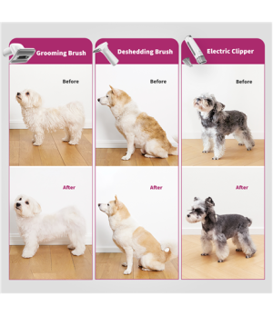 PETKIT | Air Clipper Pet Grooming Vacuum Kit 5in1 | LM4 | Grey/White