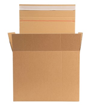 Pakavimo dėžė su lipnia juostele, 250x160x65 mm