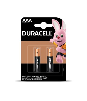 Baterijos DURACELL AAA, LR03, 2vnt