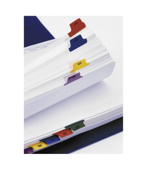 Kartoniniai spalvoti skiriamieji lapai ESSELTE, 1-20, A4