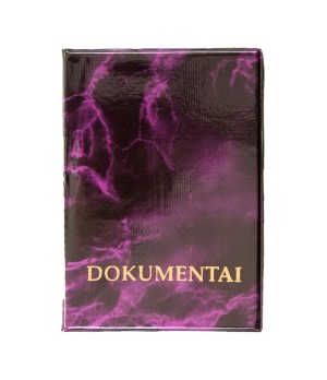 Įdėklas vairuotojo dokumentams, 90 x 130 mm, įvairių spalvų