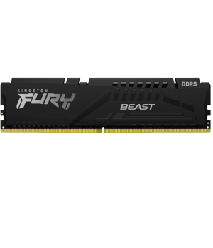 Kingston | 16 GB | DDR5 | 6000 MHz | PC/server | Registered No | ECC No