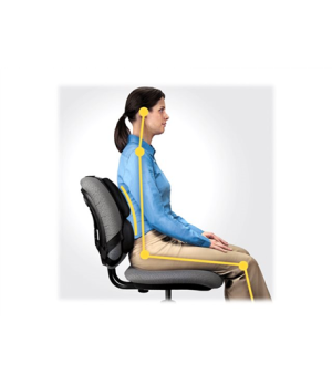 Fellowes | Professional back support - Professional Series | Depth 55 mm | Height 365 mm | High-density foam | Width 375 mm