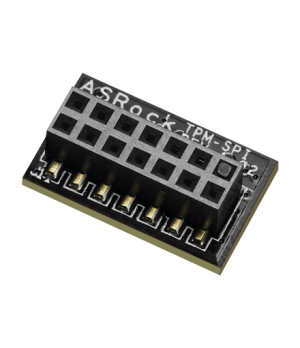 ASRock TPM-SPI | SPI interface